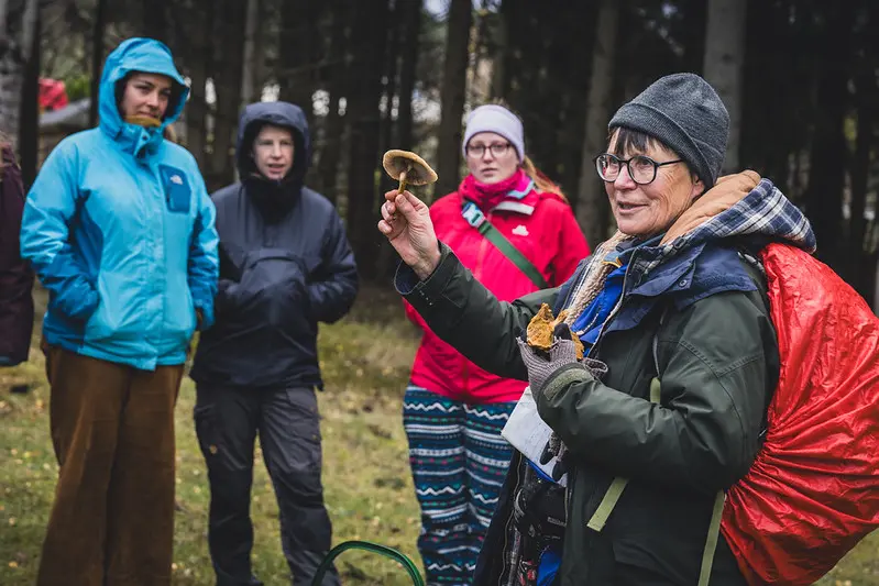 Learning about wild mushrooms in the Cairngorms