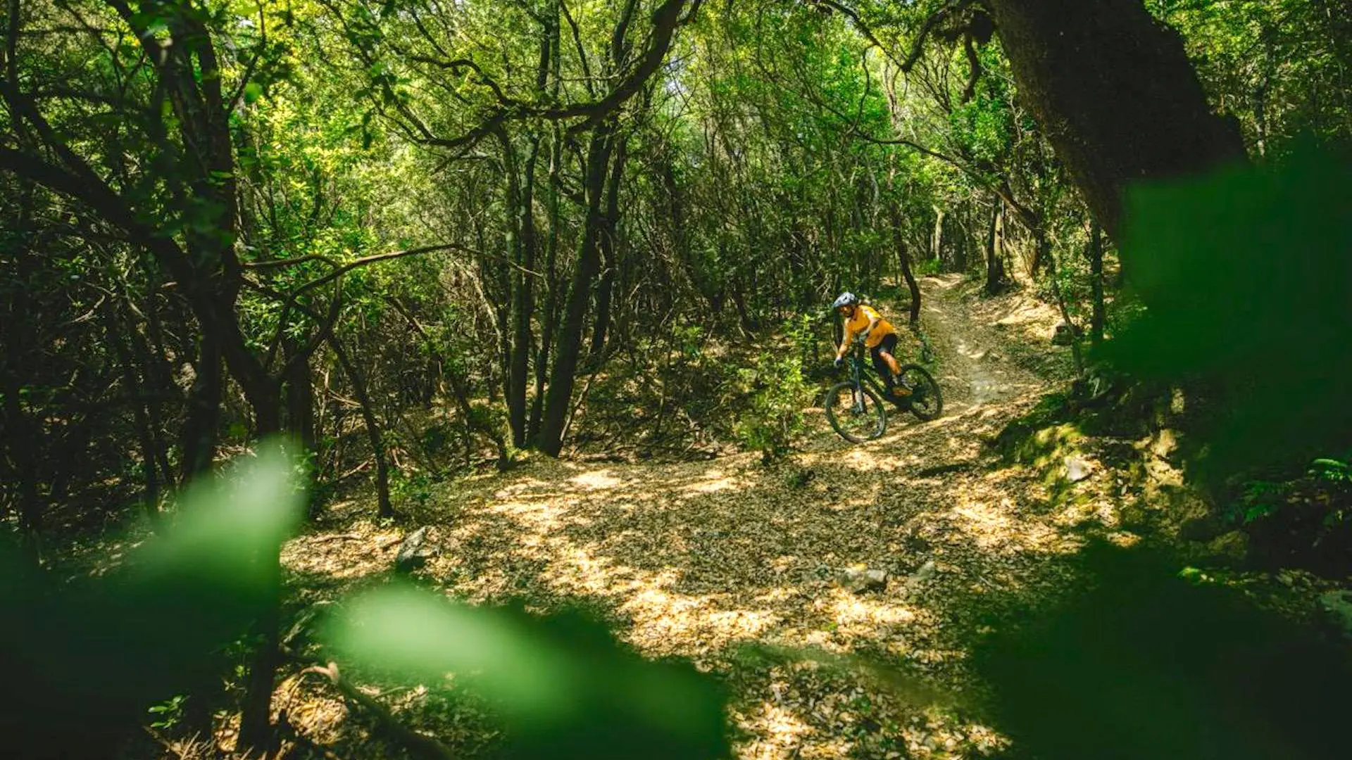Danilo riding his mountain bike through the forested trails of Massa Marittima with the sunlight shining through the trees.