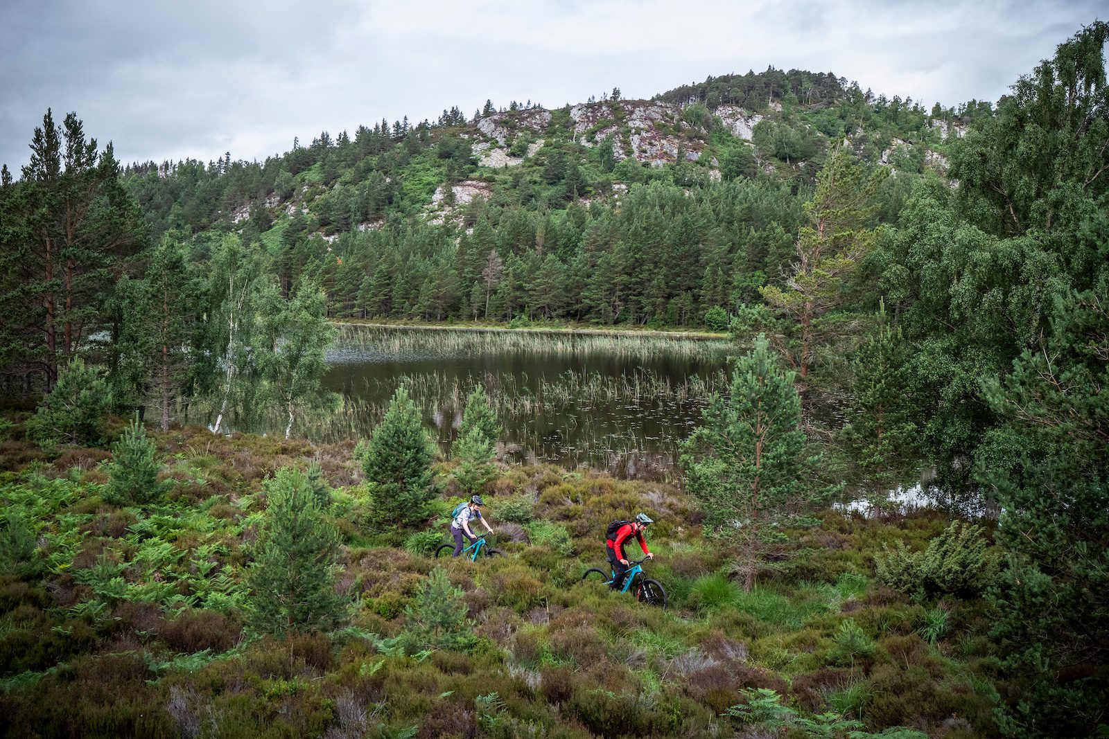 Male and female mountain bikers riding through forest in the Cairngorms National Park