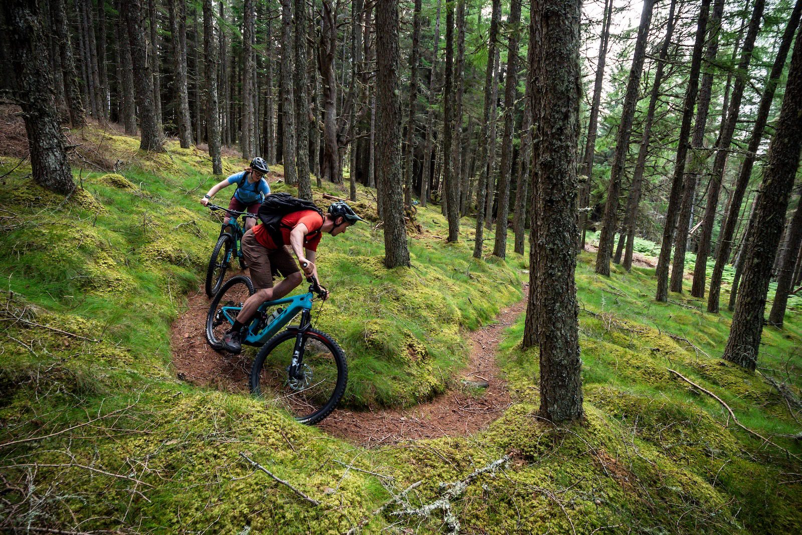 E-mountain biker and mountain biker riding through the trees in the Cairngorms, Scotland