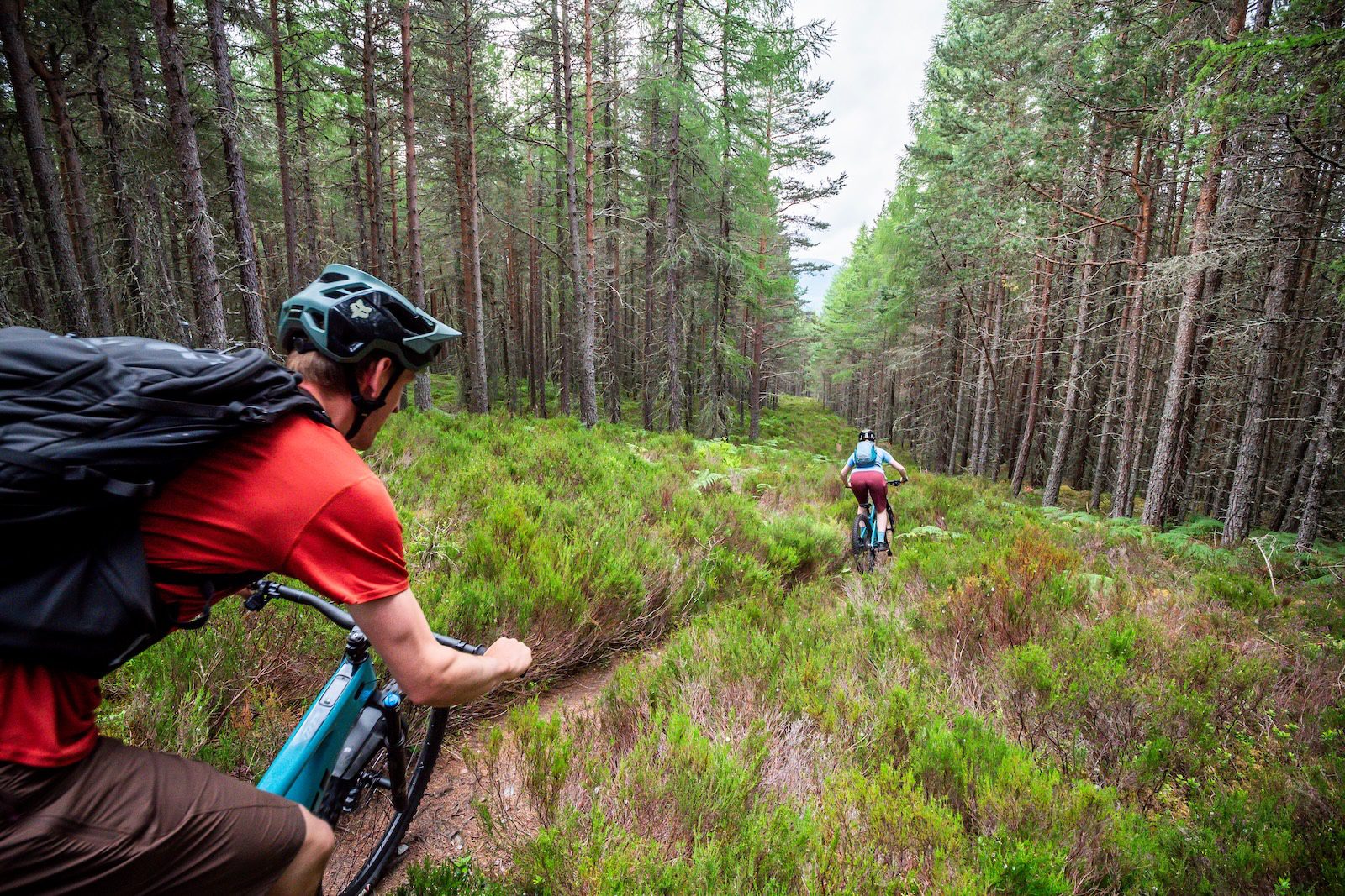 Male and female mountain bikers riding singletrack through the forest of the Cairngorm National Park