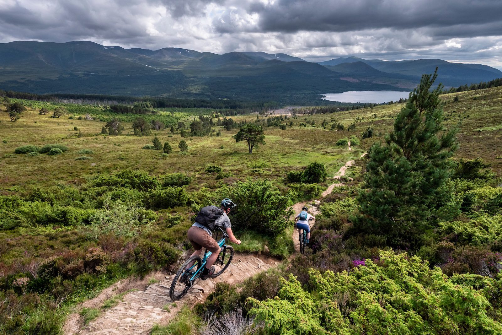 Mountain bikers descending a path in the Cairngorms National Park
