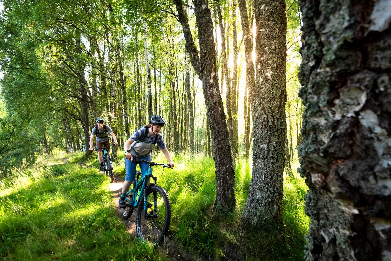 Mountain bikers riding through forest in the Highlands with sunlight coming through