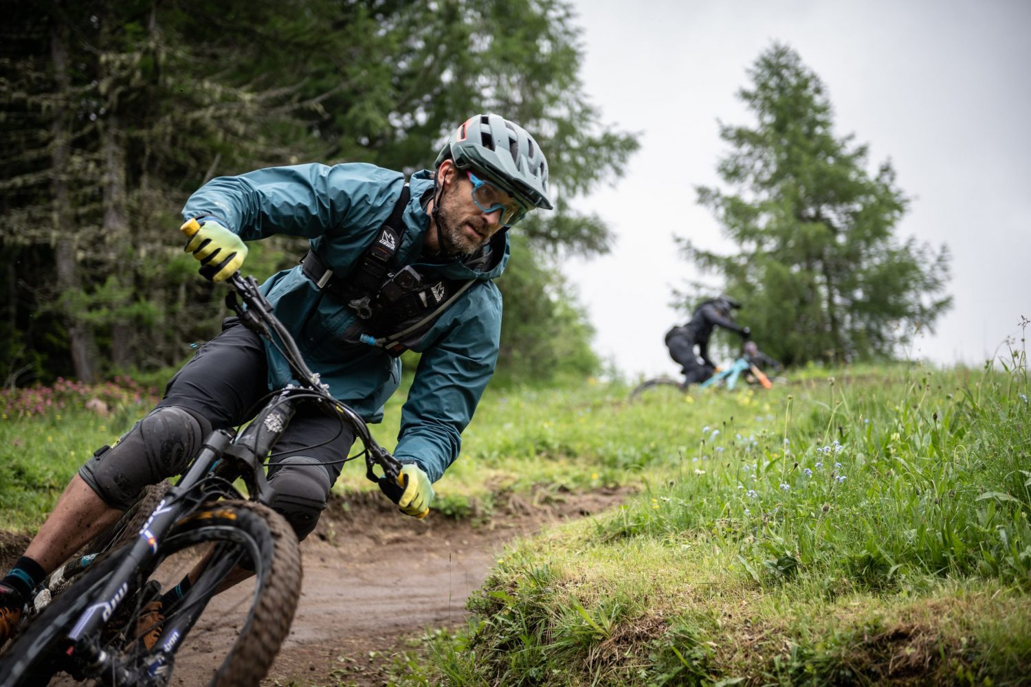 Mountain biker riding in foresr