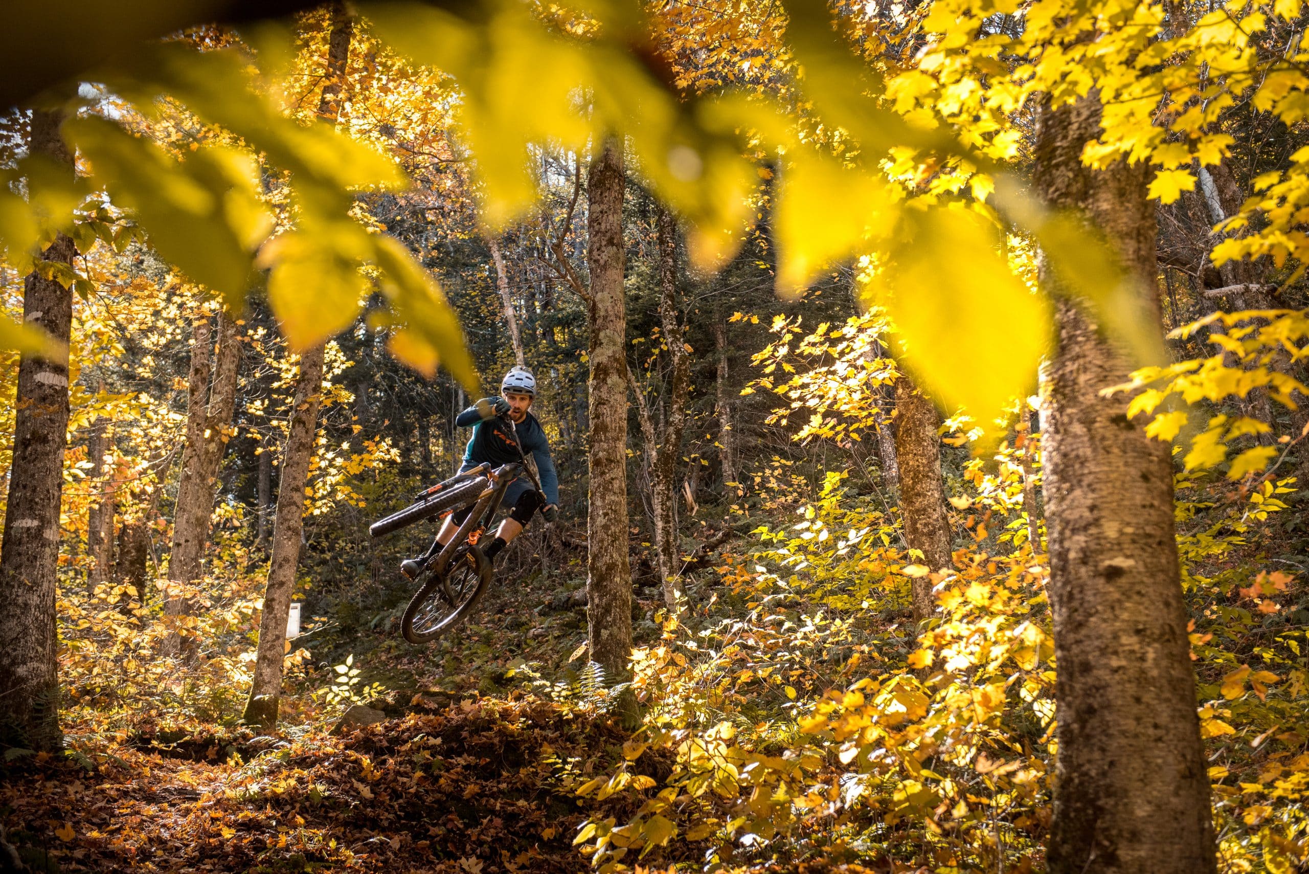 Riding through trees in Vermont forest