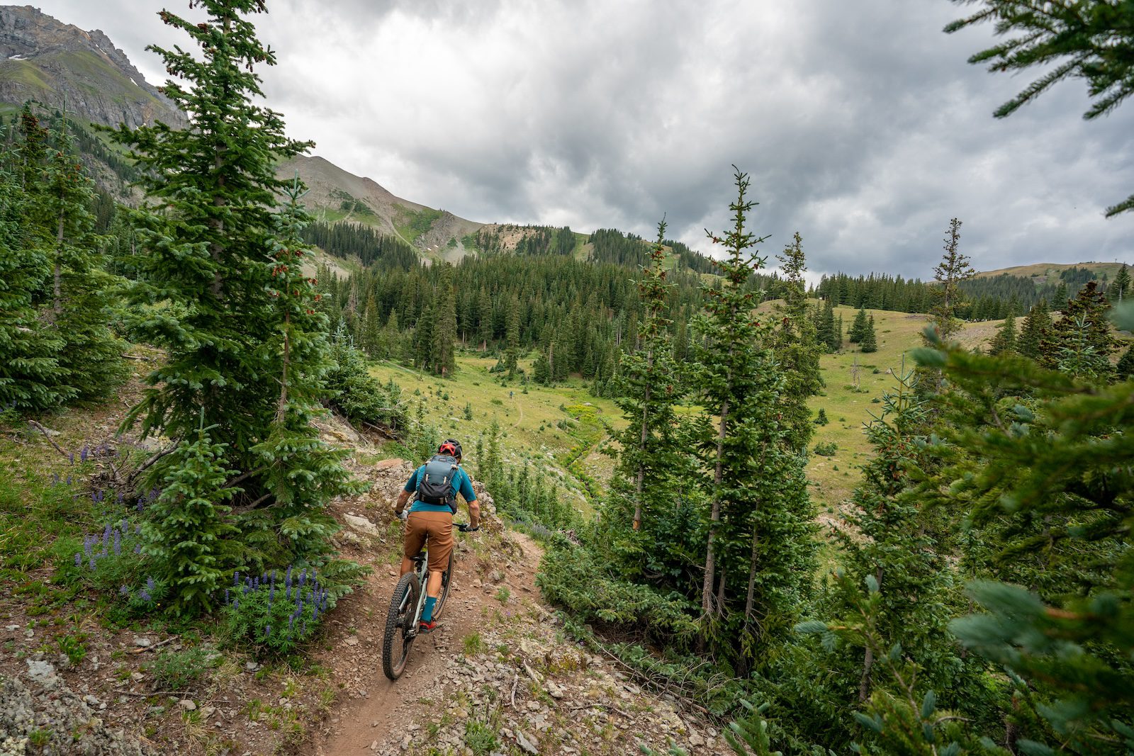 Colorado backcountry descent in the trees
