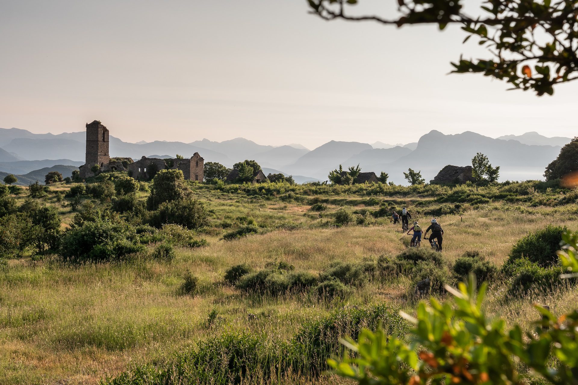 Mountain bikers riding through long grass in Spain, Europe