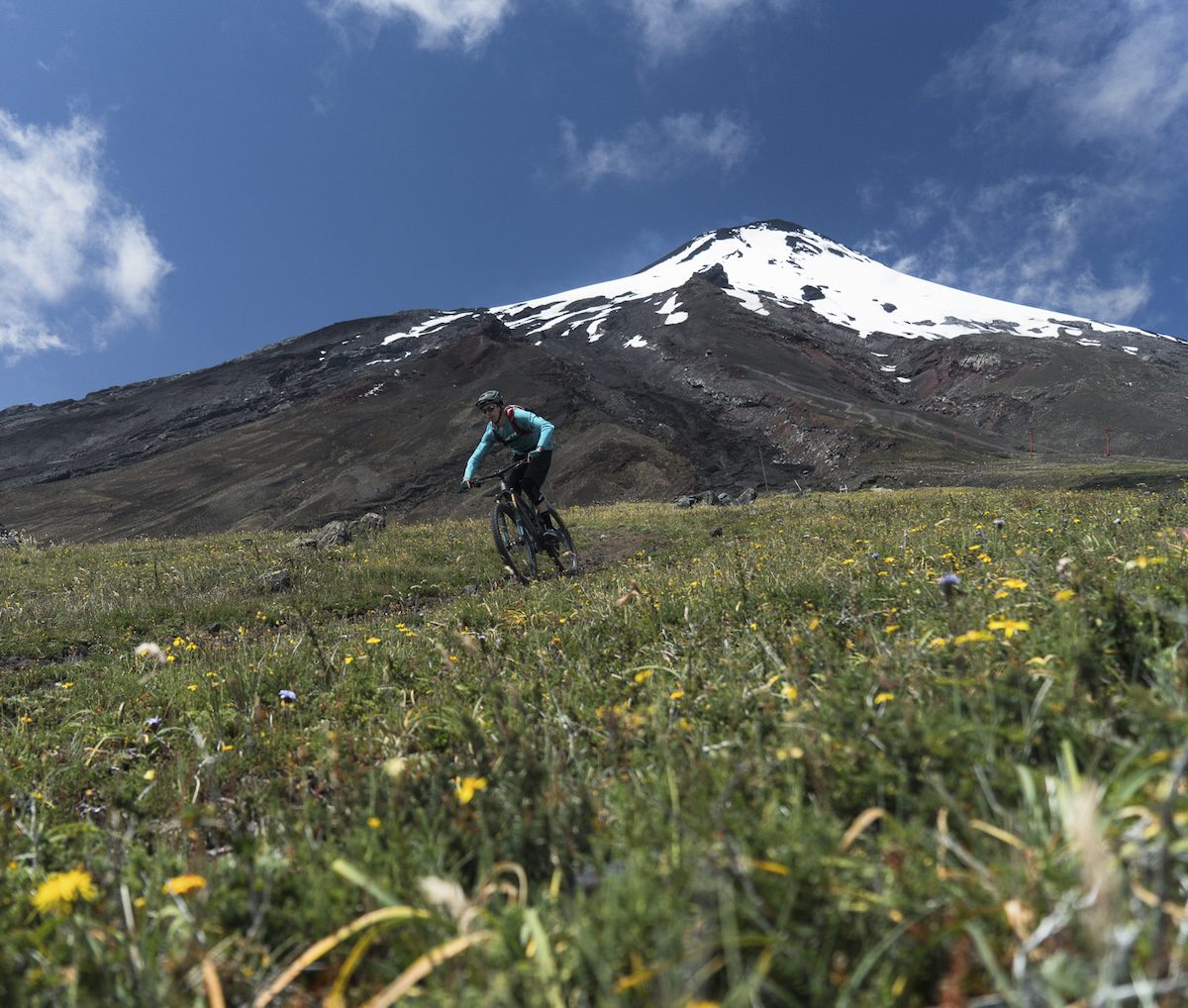 Mountain biker in Chile with wildflowers and volcano in the background
